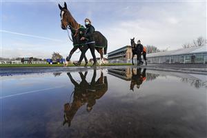 WARWICK, ENGLAND - FEBRUARY 03: A general view as runners circle in the pre parade ring before the first race at Warwick Racecourse on February 03, 2021 in Warwick, England. Due to the Coronavirus pandemic, owners along with the paying public will not be allowed to attend the meeting. (Photo by Alan Crowhurst/Getty Images)