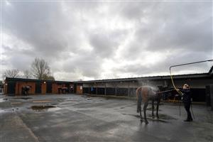 WARWICK, ENGLAND - FEBRUARY 03: A general view as a runner is hosed down in the saddling area after racing at Warwick Racecourse on February 03, 2021 in Warwick, England. Due to the Coronavirus pandemic, owners along with the paying public will not be allowed to attend the meeting. (Photo by Alan Crowhurst/Getty Images)