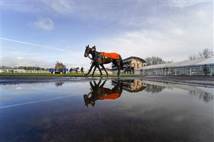WARWICK, ENGLAND - FEBRUARY 03: Admiral Balko walks in the pre parade ring at Warwick Racecourse on February 03, 2021 in Warwick, England. Due to the Coronavirus pandemic, owners along with the paying public will not be allowed to attend the meeting. (Photo by Alan Crowhurst/Getty Images)