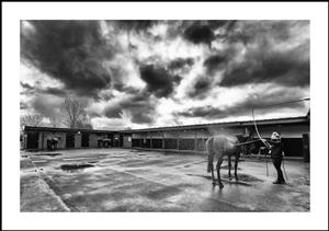 WARWICK, ENGLAND - FEBRUARY 03: (EDITORS NOTE: This image was processed using digital filters) A general view as a runner is hosed down in the saddling area after racing at Warwick Racecourse on February 03, 2021 in Warwick, England. Due to the Coronavirus pandemic, owners along with the paying public will not be allowed to attend the meeting. (Photo by Alan Crowhurst/Getty Images)