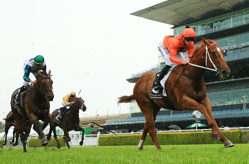 Randwick Tips for 06.02.2021