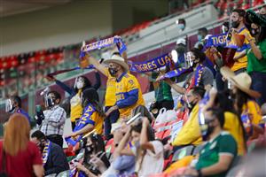 Tigres