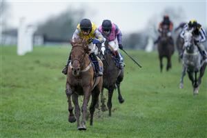 WINCANTON, ENGLAND - FEBRUARY 04: Gavin Sheehan riding Diddly Do win The Bet At racingtv.com Mares' Standard Open NH Flat Race at Wincanton Racecourse on February 04, 2021 in Wincanton, England. Due to the Coronavirus pandemic, owners along with the paying public will not be allowed to attend the meeting. (Photo by Alan Crowhurst/Getty Images)