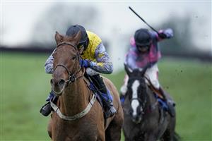 WINCANTON, ENGLAND - FEBRUARY 04: Gavin Sheehan riding Diddly Do win The Bet At racingtv.com Mares' Standard Open NH Flat Race at Wincanton Racecourse on February 04, 2021 in Wincanton, England. Due to the Coronavirus pandemic, owners along with the paying public will not be allowed to attend the meeting. (Photo by Alan Crowhurst/Getty Images)