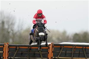WINCANTON, ENGLAND - FEBRUARY 04: Harry Cobden riding Lucky One clear the last to win The Southwest Syndicate Novices' Hurdle at Wincanton Racecourse on February 04, 2021 in Wincanton, England. Due to the Coronavirus pandemic, owners along with the paying public will not be allowed to attend the meeting. (Photo by Alan Crowhurst/Getty Images)