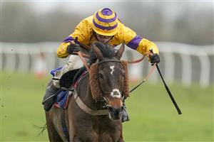 WINCANTON, ENGLAND - FEBRUARY 04: Harry Cobden riding Sametegal clear the last to win The Stewart Tory Memorial Open Hunters' Chase at Wincanton Racecourse on February 04, 2021 in Wincanton, England. Due to the Coronavirus pandemic, owners along with the paying public will not be allowed to attend the meeting. (Photo by Alan Crowhurst/Getty Images)