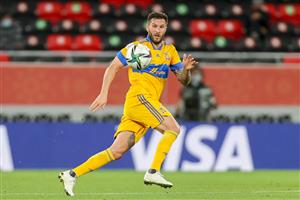 Tigres