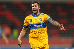 Tigres