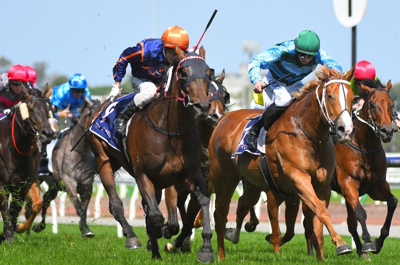 Morphettville Tips for 06.02.2021