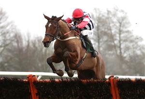 CATTERICK, ENGLAND - FEBRUARY 05: Omar Maretti ridden by jockey Kielan Woods on their way to winning the Racing TV Profits Returned To Racing Maiden Hurdle at Catterick Racecourse. on February 5, 2021 in Catterick, England. (Photo by Tim Goode - Pool / Getty Images)