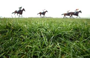 CATTERICK, ENGLAND - FEBRUARY 05: Runners and riders during the Millbry Hill Juvenile Hurdle race at Catterick Racecourse on February 5, 2021 in Catterick, England. (Photo by Pool/Getty Images)