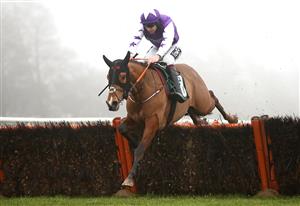 CATTERICK, ENGLAND - FEBRUARY 05: Tinnahalla ridden by jockey Aidan Coleman clears the last on their way to winning the Millbry Hill Juvenile Hurdle race at Catterick Racecourse on February 5, 2021 in Catterick, England. (Photo by Pool/Getty Images)