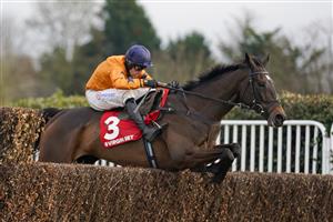 ESHER, ENGLAND - FEBRUARY 06: Harry Skelton riding Alnadam clear the last to win The Virgin Bet Warriors Handicap Chase at Sandown Park Racecourse on February 06, 2021 in Esher, England. Due to the Coronavirus pandemic, owners along with the paying public will not be allowed to attend the meeting. (Photo by Alan Crowhurst/Getty Images)