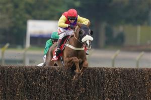 ESHER, ENGLAND - FEBRUARY 06: Richard Johnson riding Native River clear the last to win The Virgin Bet Cotswold Chase at Sandown Park Racecourse on February 06, 2021 in Esher, England. Due to the Coronavirus pandemic, owners along with the paying public will not be allowed to attend the meeting. (Photo by Alan Crowhurst/Getty Images)