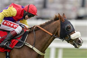 ESHER, ENGLAND - FEBRUARY 06: Richard Johnson riding Native River clear the last to win The Virgin Bet Cotswold Chase at Sandown Park Racecourse on February 06, 2021 in Esher, England. Due to the Coronavirus pandemic, owners along with the paying public will not be allowed to attend the meeting. (Photo by Alan Crowhurst/Getty Images)