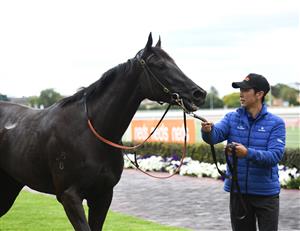 MELBOURNE, AUSTRALIA - FEBRUARY 06: Arcaded after winning Race 2, the Neds Blue Diamond Prelude F, during C.F. Orr Stakes Day at Caulfield Racecourse on February 06, 2021 in Melbourne, Australia. (Photo by Vince Caligiuri/Getty Images)