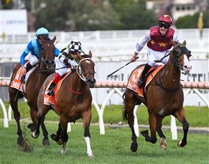 MELBOURNE, AUSTRALIA - FEBRUARY 06: Zac Spain riding Streets of Avalon to win Race 8, the Neds C.f. Orr Stakes, during C.F. Orr Stakes Day at Caulfield Racecourse on February 06, 2021 in Melbourne, Australia. (Photo by Vince Caligiuri/Getty Images)