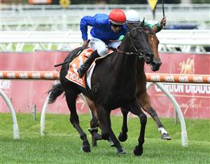 MELBOURNE, AUSTRALIA - FEBRUARY 06: Damian Lane riding Arcaded wins Race 2, the Neds Blue Diamond Prelude F, during C.F. Orr Stakes Day at Caulfield Racecourse on February 06, 2021 in Melbourne, Australia. (Photo by Vince Caligiuri/Getty Images)