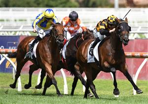 MELBOURNE, AUSTRALIA - FEBRUARY 06: Damian Lane riding Probabeel to win Race 7, the Lamaro's Sth Melbourne Geoffrey Bellmaine Stakes during C.F. Orr Stakes Day at Caulfield Racecourse on February 06, 2021 in Melbourne, Australia. (Getty)
