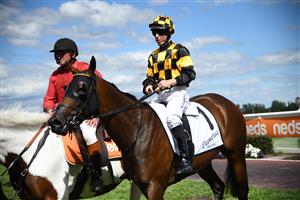 MELBOURNE, AUSTRALIA - FEBRUARY 06: Damian Lane riding Probabeel to win Race 7, the Lamaro's Sth Melbourne Geoffrey Bellmaine Stakes during C.F. Orr Stakes Day at Caulfield Racecourse on February 06, 2021 in Melbourne, Australia. (Getty)