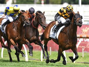 MELBOURNE, AUSTRALIA - FEBRUARY 06: Damian Lane riding Probabeel to win Race 7, the Lamaro's Sth Melbourne Geoffrey Bellmaine Stakes during C.F. Orr Stakes Day at Caulfield Racecourse on February 06, 2021 in Melbourne, Australia. (Getty)