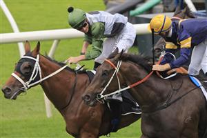 SYDNEY, AUSTRALIA - FEBRUARY 06: James McDonald on Shared Ambition wins race 8 the Davali Thoroughbreds Cup during Sydney Racing at Royal Randwick Racecourse on February 06, 2021 in Sydney, Australia. (Photo by Mark Evans/Getty Images)