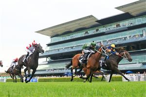 SYDNEY, AUSTRALIA - FEBRUARY 06: James McDonald on Shared Ambition wins race 8 the Davali Thoroughbreds Cup during Sydney Racing at Royal Randwick Racecourse on February 06, 2021 in Sydney, Australia. (Photo by Mark Evans/Getty Images)