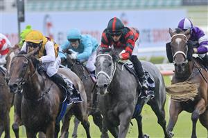 SYDNEY, AUSTRALIA - FEBRUARY 06: James McDonald on April Rain wins race 4 the Ranvet Handicap during Sydney Racing at Royal Randwick Racecourse on February 06, 2021 in Sydney, Australia. (Photo by Mark Evans/Getty Images)