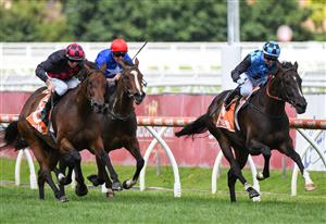 MELBOURNE, AUSTRALIA - FEBRUARY 06: Jamie Kah riding La Mexicana to win race 5, the Hyland Race Colours Autumn Stakes, during C.F. Orr Stakes Day at Caulfield Racecourse on February 06, 2021 in Melbourne, Australia. (Photo by Vince Caligiuri/Getty Images)