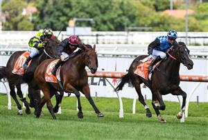 MELBOURNE, AUSTRALIA - FEBRUARY 06: Jamie Kah riding La Mexicana to win race 5, the Hyland Race Colours Autumn Stakes, during C.F. Orr Stakes Day at Caulfield Racecourse on February 06, 2021 in Melbourne, Australia. (Photo by Vince Caligiuri/Getty Images)