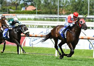 MELBOURNE, AUSTRALIA - FEBRUARY 06: Jordan Childs riding Poland wins Race 4, the Hyland Race Colours Autumn Stakes, during C.F. Orr Stakes Day at Caulfield Racecourse on February 06, 2021 in Melbourne, Australia. (Photo by Vince Caligiuri/Getty Images)