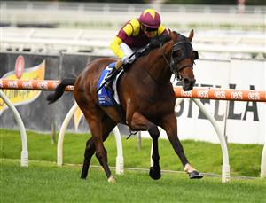 MELBOURNE, AUSTRALIA - FEBRUARY 06: Luke Currie riding Regardsmaree wins Race 1, The Big Screen Company Handicap, during C.F. Orr Stakes Day at Caulfield Racecourse on February 06, 2021 in Melbourne, Australia. (Photo by Vince Caligiuri/Getty Images)