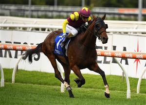 MELBOURNE, AUSTRALIA - FEBRUARY 06: Luke Currie riding Regardsmaree wins Race 1, The Big Screen Company Handicap, during C.F. Orr Stakes Day at Caulfield Racecourse on February 06, 2021 in Melbourne, Australia. (Photo by Vince Caligiuri/Getty Images)