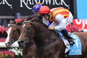 SYDNEY, AUSTRALIA - FEBRUARY 06: Tim Clark on Peltzer wins race 6 the Aquis Eskimo Prince during Sydney Racing at Royal Randwick Racecourse on February 06, 2021 in Sydney, Australia. (Photo by Mark Evans/Getty Images)