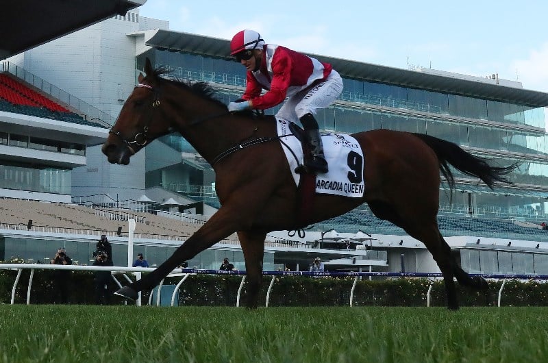 Arcadia Queen & Regal Power - news
