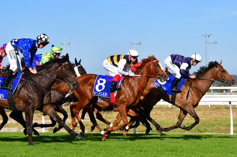 Pakenham Betting Tips