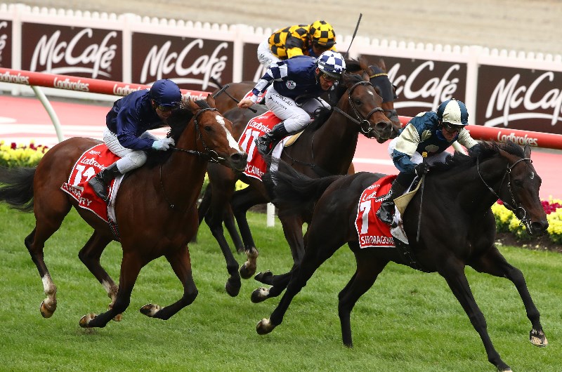 Russian Camelot Cruises In Werribee Trial