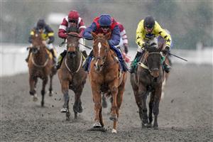 SUNBURY, ENGLAND - FEBRUARY 09: Adam Wedge riding Bricklagger win The vbet.co.uk Standard Open NH Flat Race (GBB Race) (Div 2) at Kempton Park Racecourse on February 09, 2021 in Sunbury, England. Due to the Coronavirus pandemic, owners along with the paying public will not be allowed to attend the meeting. (Photo by Alan Crowhurst/Getty Images)
