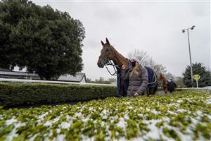 SUNBURY, ENGLAND - FEBRUARY 09: A general view as a runner makes its way to the parade ring at Kempton Park Racecourse on February 09, 2021 in Sunbury, England. Due to the Coronavirus pandemic, owners along with the paying public will not be allowed to attend the meeting. (Photo by Alan Crowhurst/Getty Images)