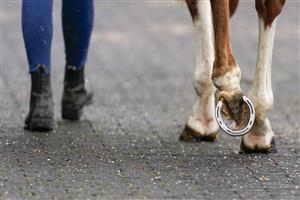 SUNBURY, ENGLAND - FEBRUARY 09: Groom and horse side by side at Kempton Park Racecourse on February 09, 2021 in Sunbury, England. Due to the Coronavirus pandemic, owners along with the paying public will not be allowed to attend the meeting. (Photo by Alan Crowhurst/Getty Images)