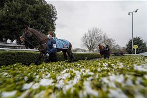 SUNBURY, ENGLAND - FEBRUARY 09: A general view as Balco Coastal (L) makes its way to the parade ring before winning The vbet.co.uk Standard Open NH Flat Race (GBB Race) (Div 1) at Kempton Park Racecourse on February 09, 2021 in Sunbury, England. Due to the Coronavirus pandemic, owners along with the paying public will not be allowed to attend the meeting. (Photo by Alan Crowhurst/Getty Images)