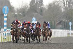 SUNBURY, ENGLAND - FEBRUARY 09: A general view as runners make their way down the straight at Kempton Park Racecourse on February 09, 2021 in Sunbury, England. Due to the Coronavirus pandemic, owners along with the paying public will not be allowed to attend the meeting. (Photo by Alan Crowhurst/Getty Images)