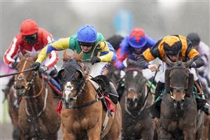 SUNBURY, ENGLAND - FEBRUARY 09: Jack Quinlan riding Billy's Angel (C, blue cap) win The Best Odds Guaranteed At VBet 'Jumpers' Bumper' NH Flat Race at Kempton Park Racecourse on February 09, 2021 in Sunbury, England. Due to the Coronavirus pandemic, owners along with the paying public will not be allowed to attend the meeting. (Photo by Alan Crowhurst/Getty Images)
