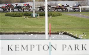 SUNBURY, ENGLAND - FEBRUARY 09: A general view as runners race down the back straight in The Bet Better With VBet 'Jumpers' Bumper' NH Flat Race at Kempton Park Racecourse on February 09, 2021 in Sunbury, England. Due to the Coronavirus pandemic, owners along with the paying public will not be allowed to attend the meeting. (Photo by Alan Crowhurst/Getty Images)