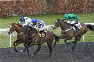 SUNBURY, ENGLAND - FEBRUARY 09: Harry Cobden riding Ecco (blue/yellow) win The Follow vbet_uk On Twitter 'Jumpers' Bumper' NH Flat Race at Kempton Park Racecourse on February 09, 2021 in Sunbury, England. Due to the Coronavirus pandemic, owners along with the paying public will not be allowed to attend the meeting. (Photo by Alan Crowhurst/Getty Images)