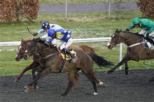 SUNBURY, ENGLAND - FEBRUARY 09: Harry Cobden riding Ecco (blue/yellow) win The Follow vbet_uk On Twitter 'Jumpers' Bumper' NH Flat Race at Kempton Park Racecourse on February 09, 2021 in Sunbury, England. Due to the Coronavirus pandemic, owners along with the paying public will not be allowed to attend the meeting. (Photo by Alan Crowhurst/Getty Images)