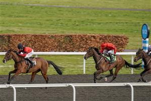 SUNBURY, ENGLAND - FEBRUARY 09: Harry Skelton riding Aggy With It win The Bet Better With VBet 'Jumpers' Bumper' NH Flat Race at Kempton Park Racecourse on February 09, 2021 in Sunbury, England. Due to the Coronavirus pandemic, owners along with the paying public will not be allowed to attend the meeting. (Photo by Alan Crowhurst/Getty Images)