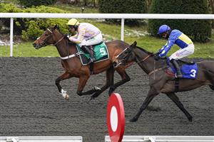 SUNBURY, ENGLAND - FEBRUARY 09: Nico de Boinville riding Hooper (L) win The Gamble Responsibly With VBet 'Jumpers' Bumper' NH Flat Race at Kempton Park Racecourse on February 09, 2021 in Sunbury, England. Due to the Coronavirus pandemic, owners along with the paying public will not be allowed to attend the meeting. (Photo by Alan Crowhurst/Getty Images)