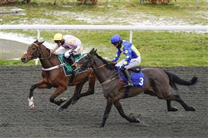 SUNBURY, ENGLAND - FEBRUARY 09: Nico de Boinville riding Hooper (L) win The Gamble Responsibly With VBet 'Jumpers' Bumper' NH Flat Race at Kempton Park Racecourse on February 09, 2021 in Sunbury, England. Due to the Coronavirus pandemic, owners along with the paying public will not be allowed to attend the meeting. (Photo by Alan Crowhurst/Getty Images)