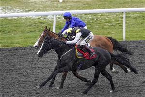 SUNBURY, ENGLAND - FEBRUARY 09: Sam Twiston-Davies riding Earlofthecotswolds (black/yellow) win The Play 5Up For Free At VBet 'Jumpers' Bumper' NH Flat Race at Kempton Park Racecourse on February 09, 2021 in Sunbury, England. Due to the Coronavirus pandemic, owners along with the paying public will not be allowed to attend the meeting. (Photo by Alan Crowhurst/Getty Images)